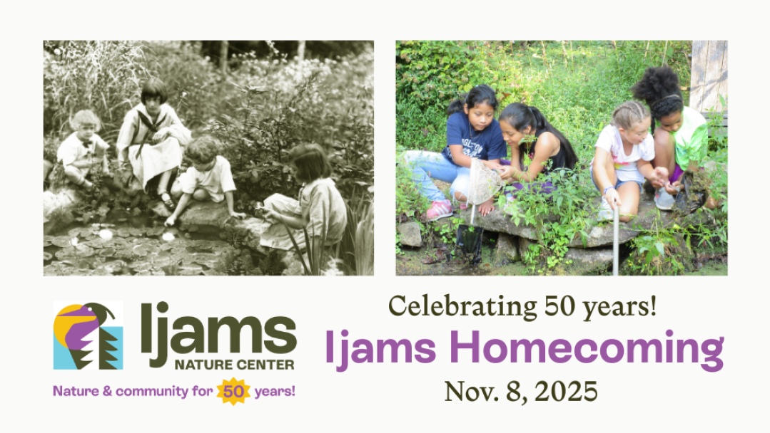 52b8ad c4c2391409f7408691cb4c203b9371a1mv2