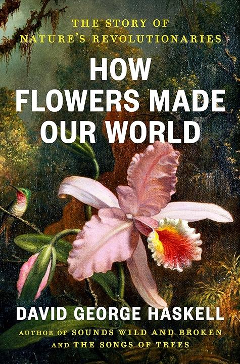 91sz3NKSMRL.jpg BO30255255255 UF750750 SR191010000C QL100 