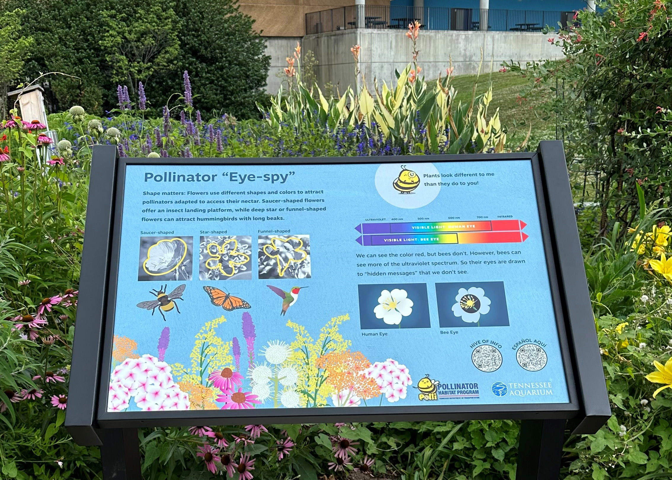 Pollinator Pathway sign
