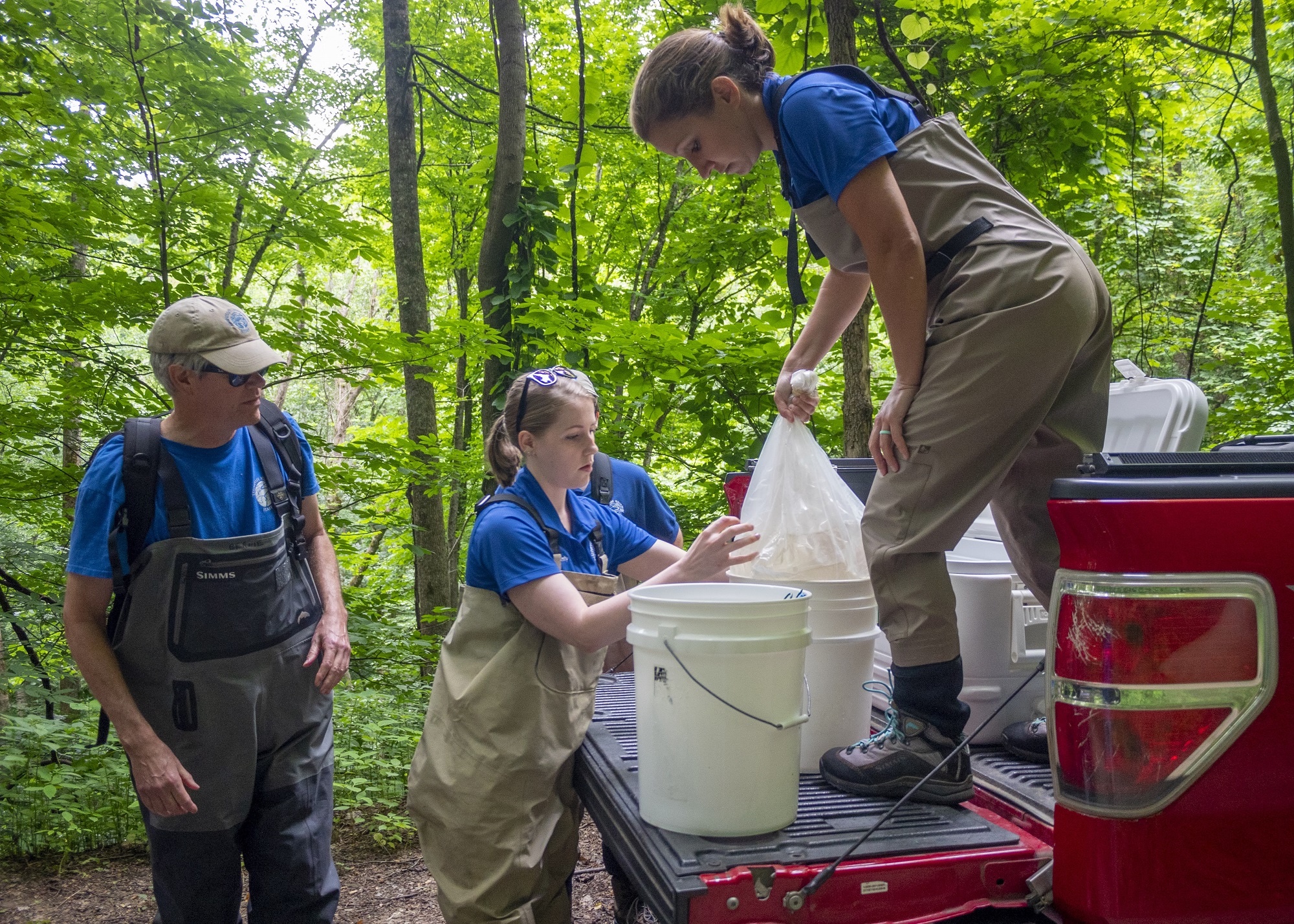 Unloading juvenile Brook Trout from the truck