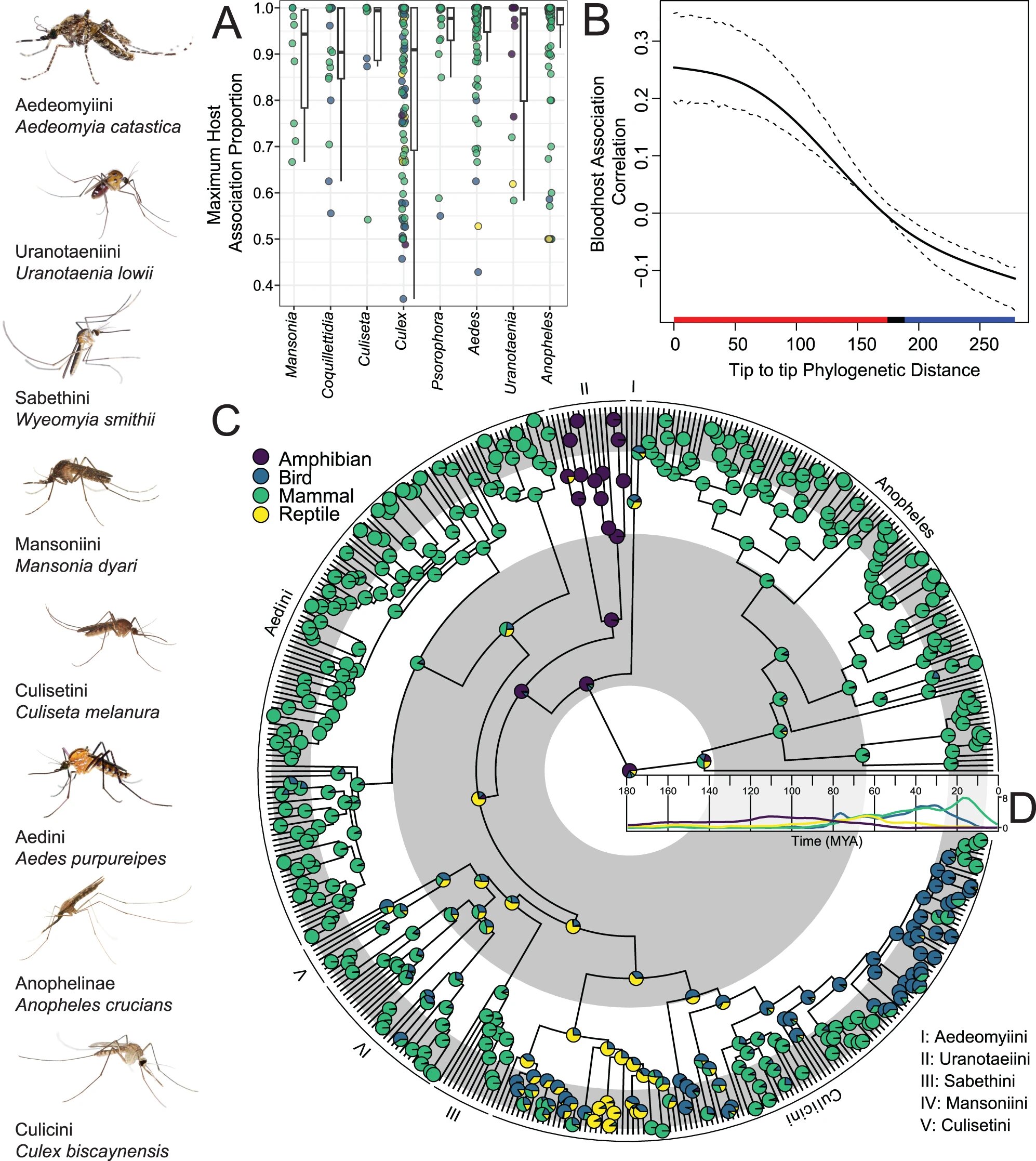 study-elucidates-evolu.jpg